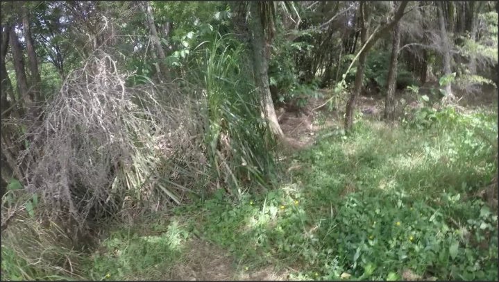 [HD] First Time Public Double Facial - Anna Li - - 00:13:03 | Asian, Outdoor - 666,2 MB