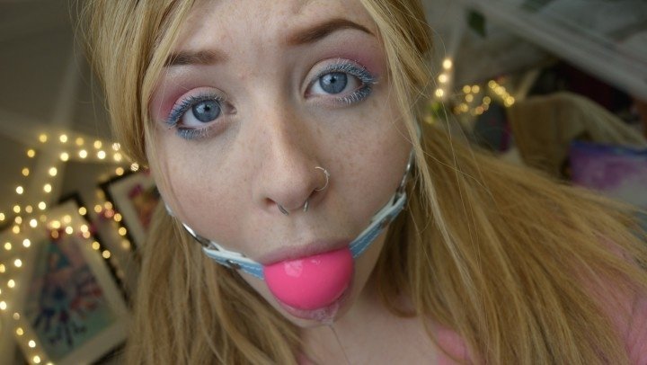 Arabella Fae Aloha Kitten Loves To Please