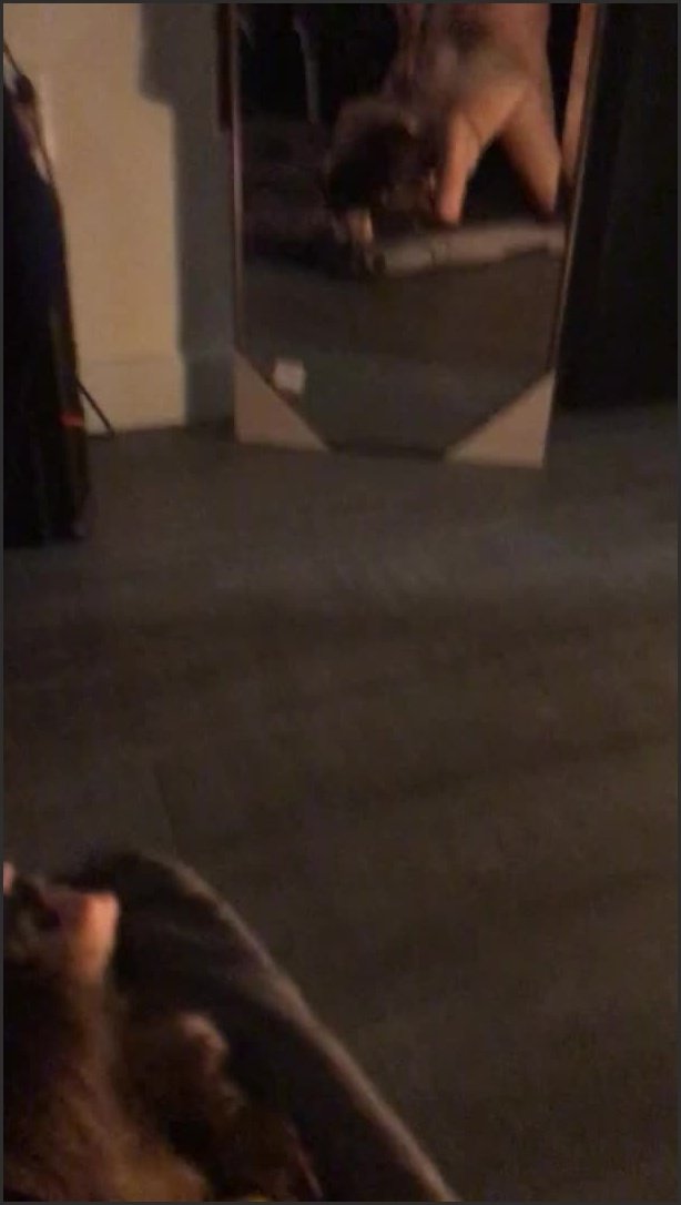 College Girl With Huge Ass Gets Fucked Doggy In The Mirror