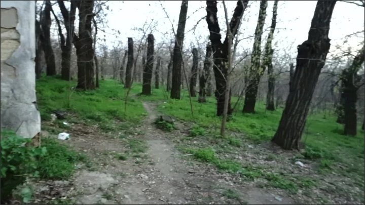 [Full HD] Public Sex Naked In Park Amateur Couple Outdoor - LittleDevy - - 00:06:07 | Pov, Outdoor Sex - 540,4 MB