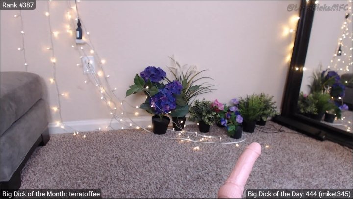 Lizzi Blake Fuck Machine Cam Show Recording