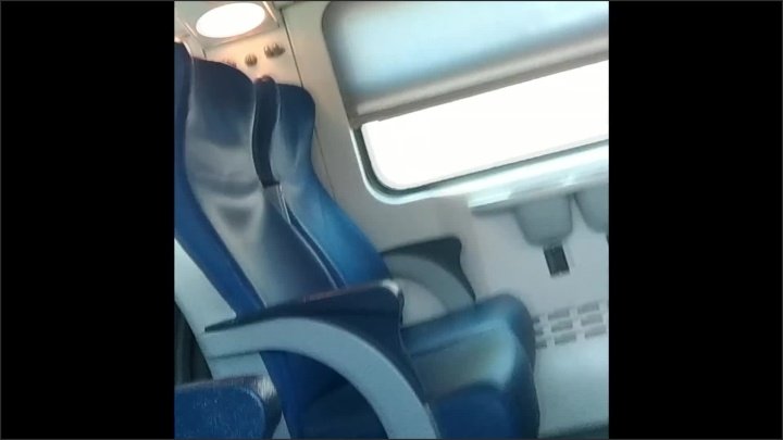 Nemibdesire Giovane Esibizionista Approfitta Del Treno Vuoto Per Masturbarsi La Fica