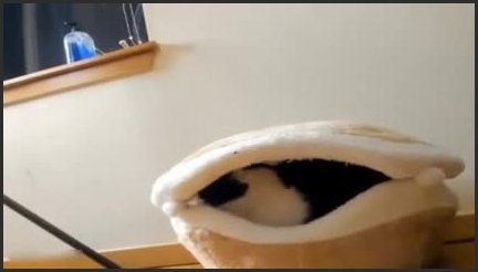 [LQ] Sch--Lgirl With Cat Tail Buttplug And Hard Fingering - Nikki Hugs - - 04:03:48 | Cosplay, Cat Tail Buttplug - 519,3 MB