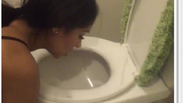 Submissive Whore Pregnant Wife Toilet Fetish