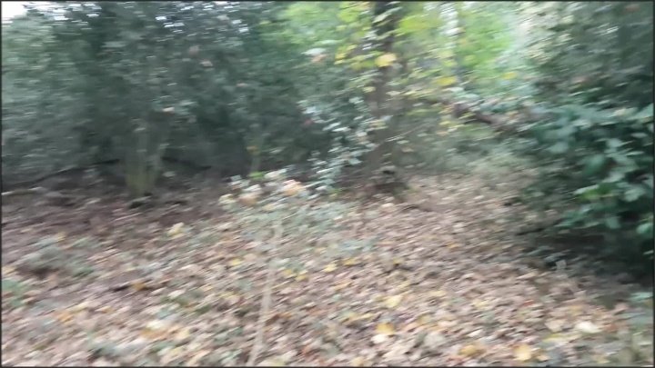 [Full HD] Alphaninja7 Being Outside Makes Me Wanna Fuck  - Alphaninja7 -  - 00:07:40 | Outdoor Blowjob, Brunette - 366,5 MB