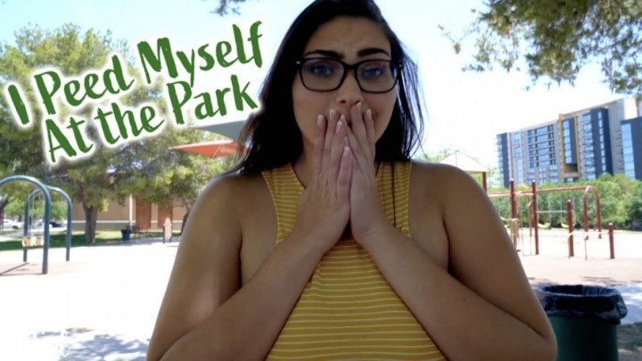 Fitsid Public P-- Accident At The Park
